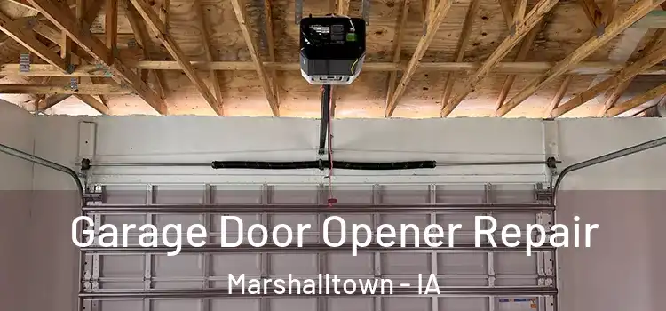  Garage Door Opener Repair Marshalltown - IA