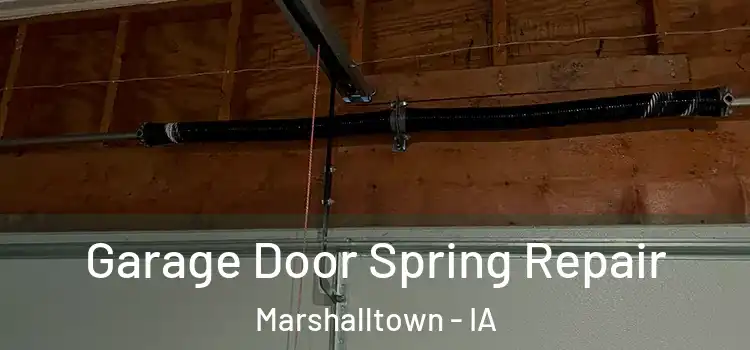  Garage Door Spring Repair Marshalltown - IA